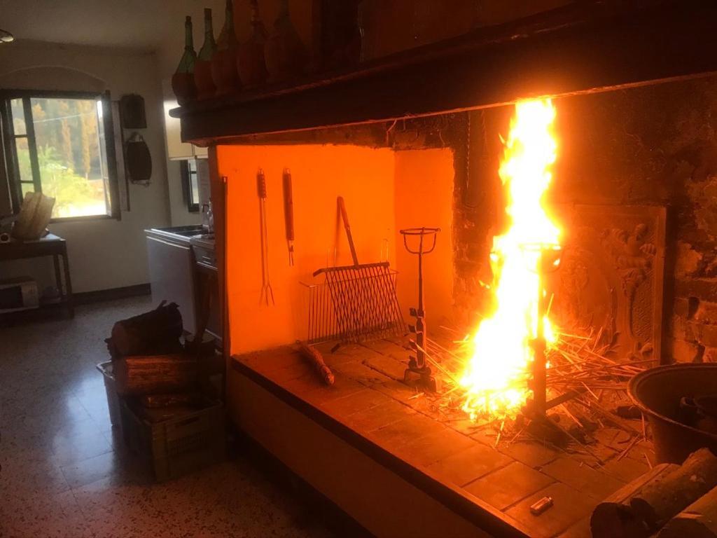 Casa Vacanze Podere Marilla 페치올리 외부 사진